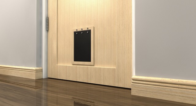 Cat Flap Installation Staines-upon-Thames, Egham Hythe, TW18