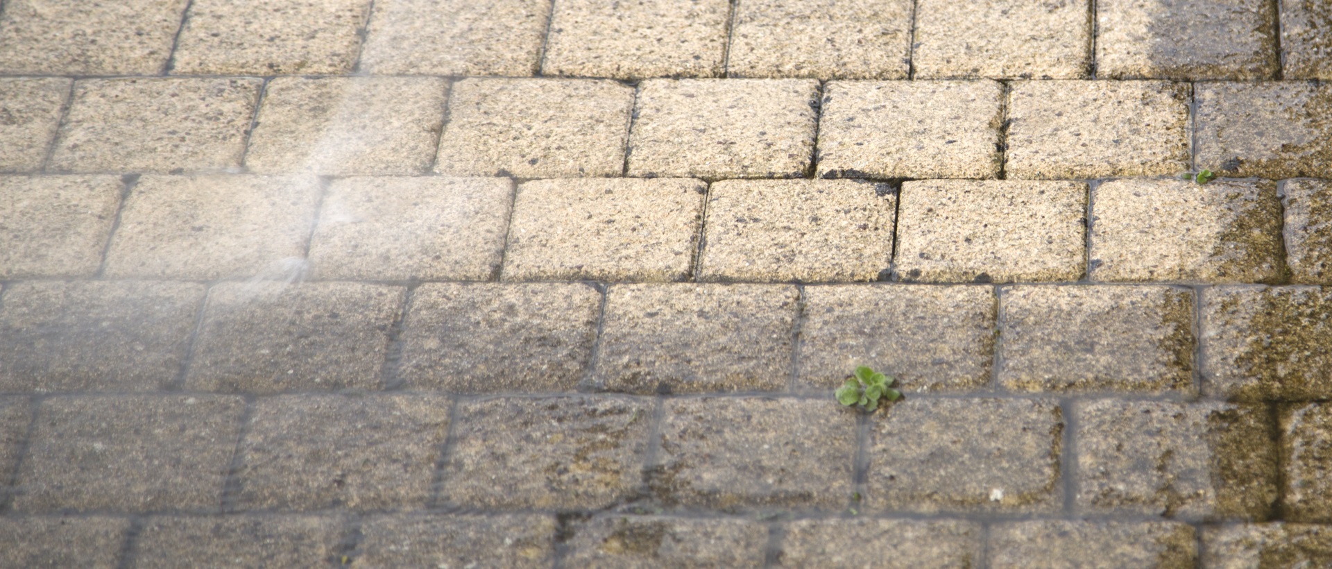 flagging and patios TW18